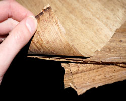 Bild von Papyrus Bogen - angefasst von meiner Hand