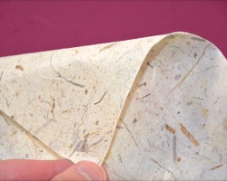 Bild von Bananenpapier