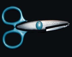 Bild von Zackenschere