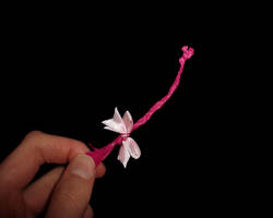 Bild von Mäuseschwanz aus rosa Bast