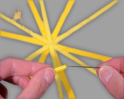Auffädeln des Strohhalms auf eine Nähnadel Bild vom Auffädeln des Strohhalms