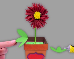 Blumenblätter an Margerite kleben Bild vom Aufkleben der Blumenblätter an der Margerite im Blumentopf