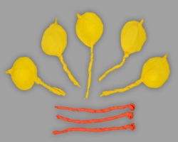 Papierelemente für Blüte des Winterlings Bild von diversen Papierelementen zur Herstellung eines gelben Winterlings