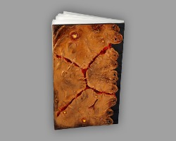Buch mit Fimo Haut überzogen Rückseite von Buch, welches mit einer Fimo Haut überzogen ist