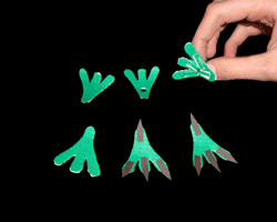 Drachenfüße basteln Bild von Drachenfüße basteln