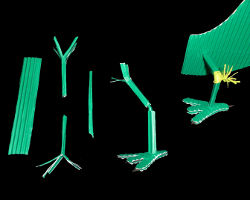 Drachenfüße aus Wellpappe Bild von Drachenfüßen aus Wellpappe