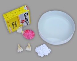 Bild von Material für Pappmaché