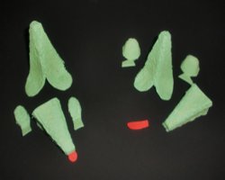 Basteln mit Eierschachteln Bild von Bastelschritt mit Eierschachteln