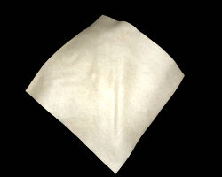 Bild von nasser Elefantenhaut