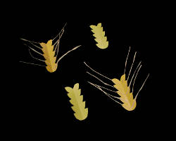 Bild von Naturbast und Gerste