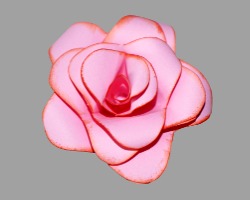 Bild von Papierrose nach Bunch-Technik