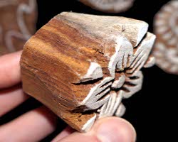 Bild eines Sheeshamholzstempel