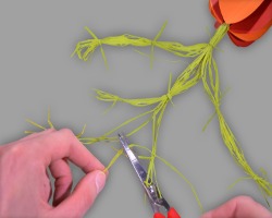 Bild vom Zurechtschneiden des Karottengrüns aus Bast