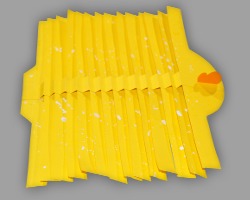 Bild vom aufgefächerten Dach des Kükens