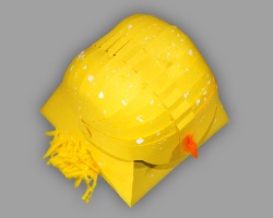 Bild vom Kopf des Kükens