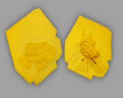 Bild von zwei Elementen für die Flügel des Kükens