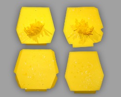 Bild von vier Elementen für das Osterküken