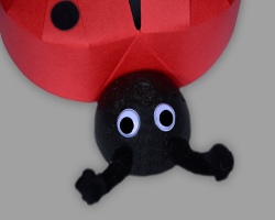 Marienkäferkopf mit Fühlern und Augen Bild vom Marienkäferkopf