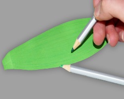 Blätter mit Buntstiften bemalen Bild vom bemalen der Pflanzenblätter mit Buntstiften