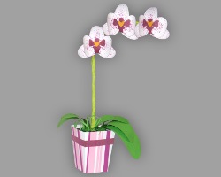 Papierorchidee im Blumentopf Bild von Papierorchidee im Blumentopf