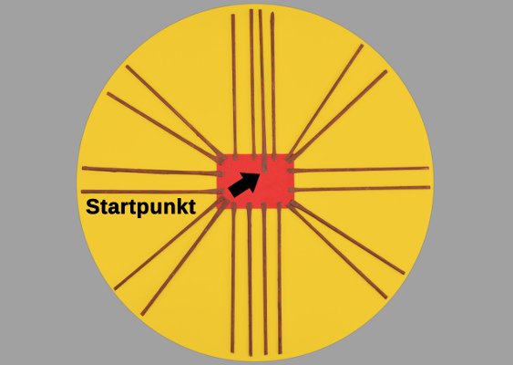 Osternestboden für Flechtwerk vorbereiten Bild vom Osternestboden, der für das Flechtwerk vorbereitet wurde