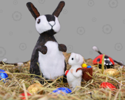 Osterhase zeigt GWS2.de Maskottchen Gustl, wie Ostereier ausgetragen werden Bild von Osterhase mit Maus und Marienkäfer im Heu. Foto von Veronika Vetter Fine Art Künstlerin