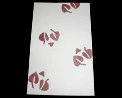 Bild von Embossing Technik mit Platzkarte