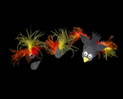 Bild von bunten Federn auf einem Papierraben