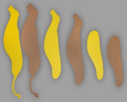 Körperelemente des Papierlöwens Bild von Körperelementen des Papierlöwens