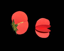 Bastelschritt Papiertomate Bild vom Bastelschritt für eine Papiertomate