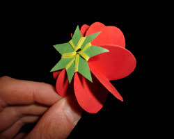 Papiertomate Bild von Papiertomate