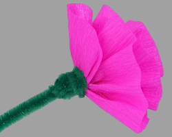 Rosenblüte am Blumenstiel festkleben Bild von Klebestelle zwischen Rosenblüte und Blumenstiel
