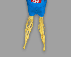 Bilder vom Basteln der Beine