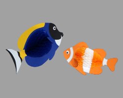 Bild von zwei bunten Papierfischen