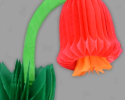 Papierblume aus Wabenpapier Bild von Papierblume aus Wabenpapier (Glockenblume)