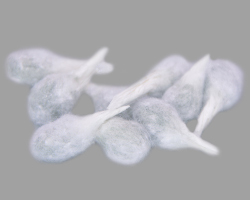 Weiche Blüten einer Kätzchenweide aus Watte Bild von weichen Watteblüten einer Kätzchenweide
