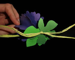 Bild von gebundender Papiertraube